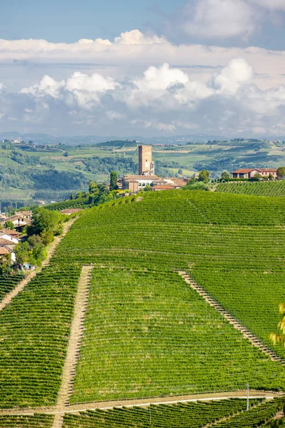Barbaresco by och vingårdar, Unesco Site, Piemonte, Norther — Stockfoto