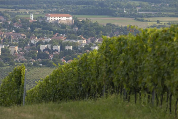 Schloss Siklos in Villany mit Weinbergen, Südungarn — Stockfoto