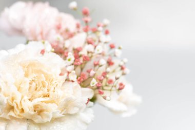 Beyaz arka planda çiçeklerle dolu bir hayat