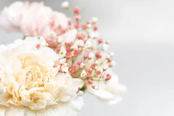 Natureza morta de flores em fundo branco — Fotografia de Stock