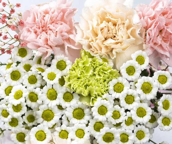 Stillleben von Blumen auf weißem Hintergrund — Stockfoto
