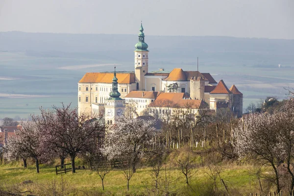 Zamek Mikulov z kwitnącymi drzewami, Morawy Południowe, Republika Czeska — Zdjęcie stockowe