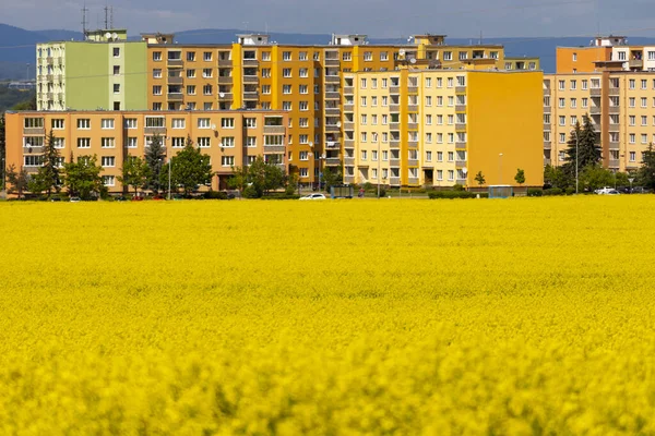 Kuzey Bohemya 'daki Zatec kasabası ve kolza tohumu tarlası, Çek Cumhuriyeti — Stok fotoğraf