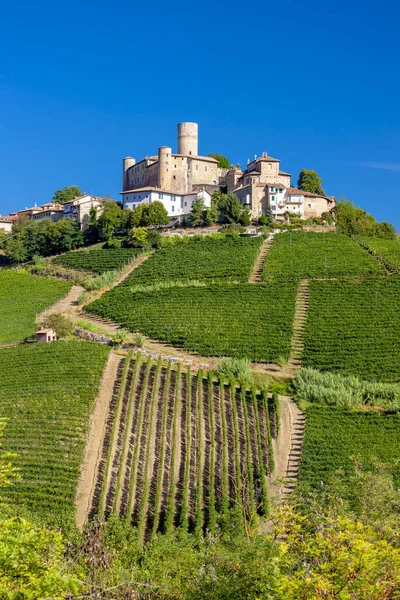 Kasteel en dorp Castiglione Falletto, Piemonte, Italië — Stockfoto