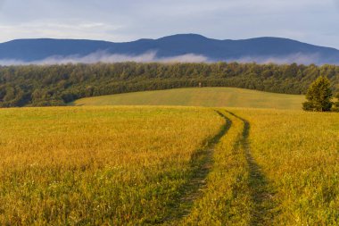 Vihorlat, Slovakya 'da sabah sisi
