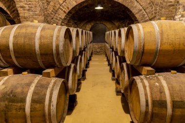 wine cellar with wooden barrels, Szekszard, Southern Transdanubi