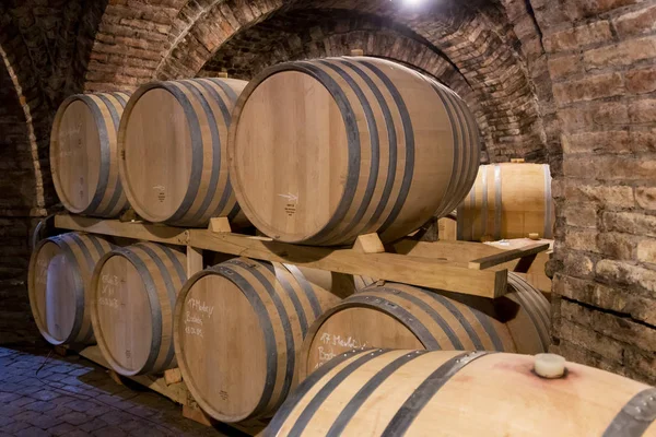 Wine barrels in the cellar, Szekszard, Hungary — Stock Photo, Image