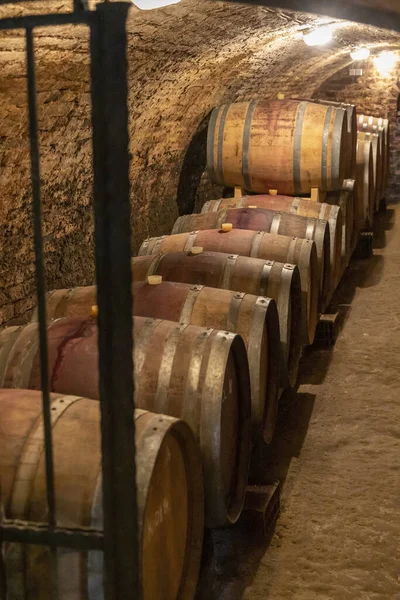 Wine cellar with wooden barrels in Hajos, Southern Transdanubia, — Stockfoto