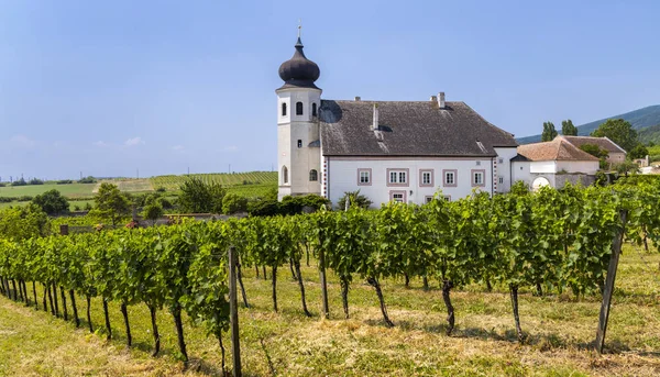 Monastery winery Thallern near Gumpoldskirchen, Lower Austria, A — Stock Photo, Image