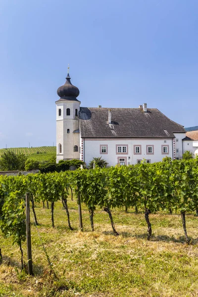 Monastery winery Thallern near Gumpoldskirchen, Lower Austria, A — Stock Photo, Image