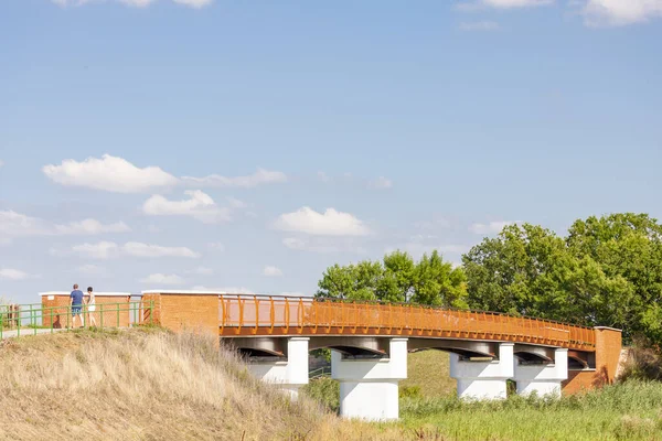 ハンガリー Hortobagy村の近くの橋 — ストック写真