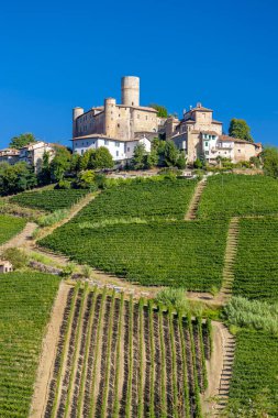 Şato ve köy Castiglione Falletto, Piemonte, İtalya