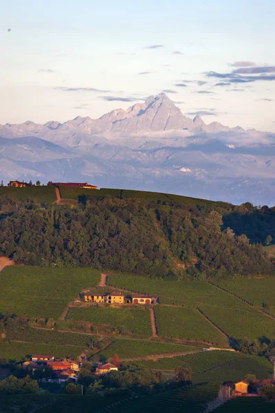 View Village Serralunga Alba Wonderful Langa Italy — Stock Photo, Image