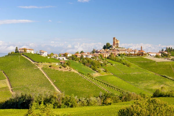View Village Serralunga Alba Wonderful Langa Italy — Stock Photo, Image