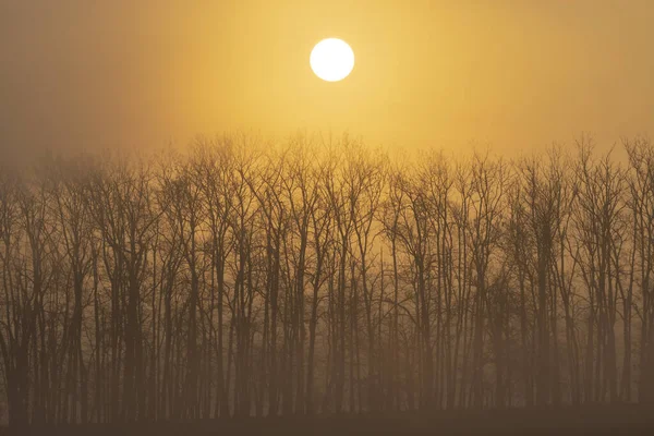 Восход Солнца Рядом Znojmo Южная Моравия Чехия — стоковое фото