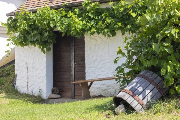 Bodega Staatz Distrito Mistelbach Baja Austria Austria — Foto de Stock