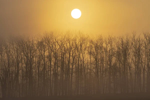 Amanecer Cerca Znojmo Moravia Del Sur República Checa — Foto de Stock