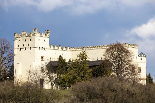 Burg Nesovice Südmähren Tschechische Republik — Stockfoto