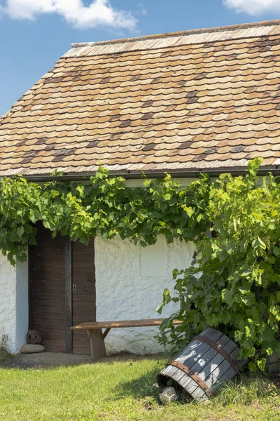 奥地利下奥地利Mistelbach区Staatz酒窖 — 图库照片