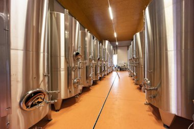 Viyana yakınlarındaki Traiskirchen 'de şarap mahzeni, Thermenregion, Avusturya