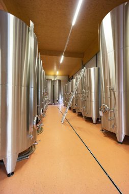 Viyana yakınlarındaki Traiskirchen 'de şarap mahzeni, Thermenregion, Avusturya