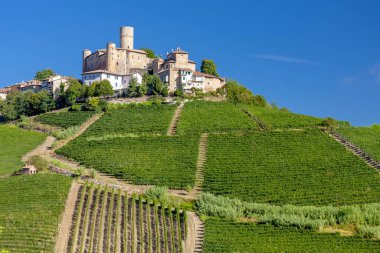 Şato ve köy Castiglione Falletto, Piemonte, İtalya