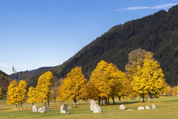 Осенний Пейзаж Региона Дахштайн Австрия — стоковое фото
