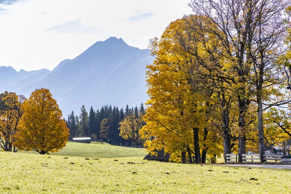 Осінній Краєвид Дахштейну Австрія — стокове фото