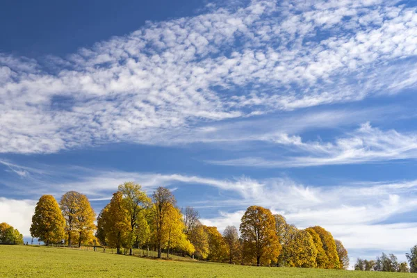 Autumn Landscape Dachstein Region Austria — Stock Photo, Image