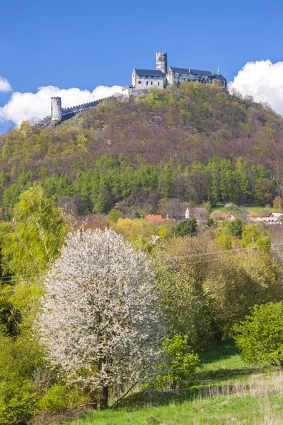 Castillo Bezdez Bohemia Central República Checa —  Fotos de Stock