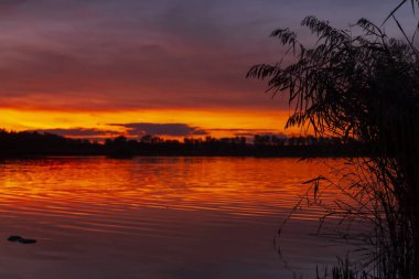 Güney Bohemya, Çek Cumhuriyeti 'nin Pisek kasabası yakınlarındaki Rezabinec gölünün üzerinde gün batımı