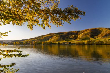 Avusturya 'nın Wachau bölgesindeki Tuna nehrinin sonbahar manzarası