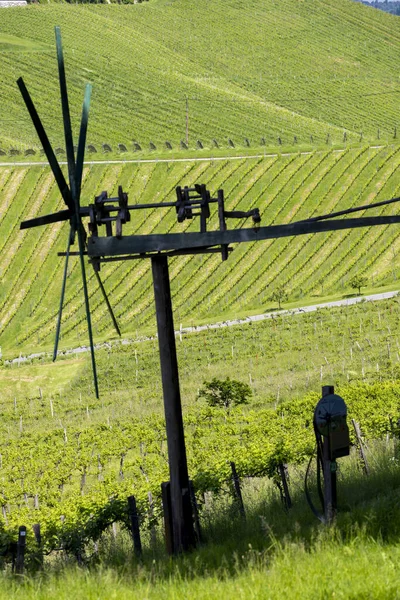 Vignoble Avec Moulin Vent Appelé Klapotetz Dans Sud Styrie Autriche — Photo