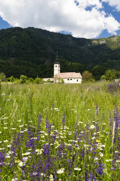 Kościół Jerece Niedaleko Jeziora Bohinj Słowenii — Zdjęcie stockowe