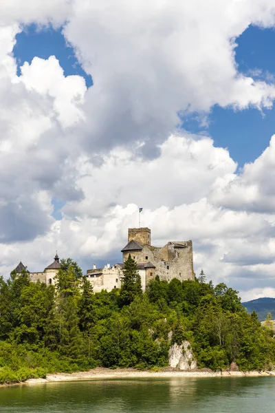 Hrad Niedzica Nad Jezerem Czorsztyn Pieninách Polsko — Stock fotografie