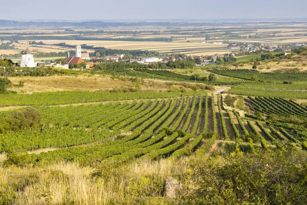 Vinodling Nära Väderkvarn Retz Niederösterreich Österrike — Stockfoto