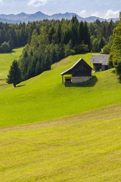 Triglavski Nationalpark Nära Bohinj Sjön Slovenien — Stockfoto