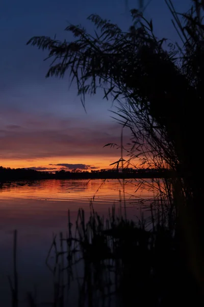 チェコ共和国南ボヘミアのピセク町近くのレザビネツ湖の夕日 — ストック写真