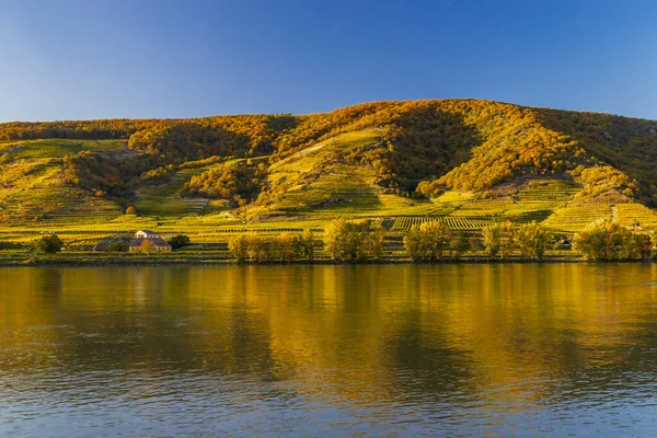 Höstutsikt Över Donau Wachau Regionen Österrike — Stockfoto