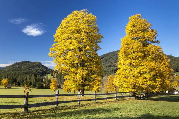 Jesienny Krajobraz Regionu Dachstein Austria — Zdjęcie stockowe