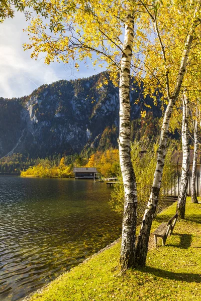 Hallstatter Oberösterreich Österrike — Stockfoto