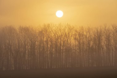 Güney Moravya, Çek Cumhuriyeti, Znojmo yakınlarında gün doğumu