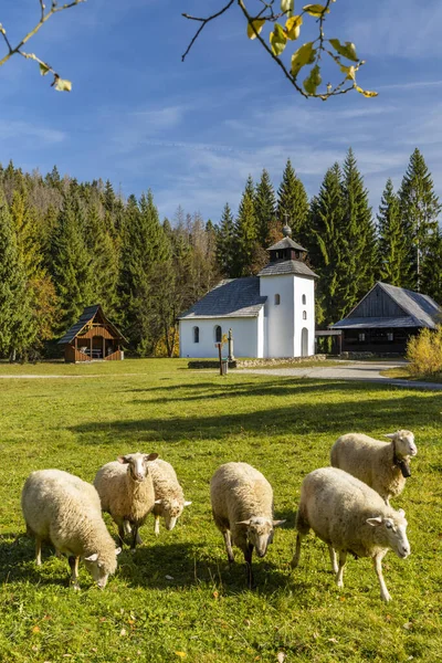 Muzeum Kysucke Dediny Kysuca Słowacja — Zdjęcie stockowe