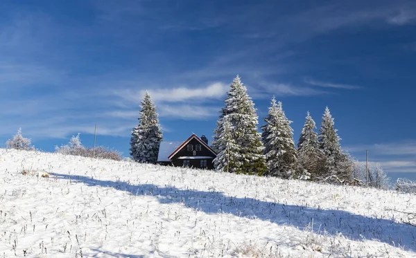 Montagne Orlicke Inverno Repubblica Ceca — Foto Stock