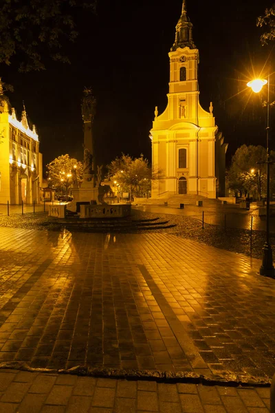Praça Cidade Velha Szekszard Hungria — Fotografia de Stock