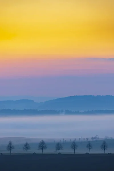 Sumário Sumava Perto Pisek Boêmia Meridional República Checa — Fotografia de Stock