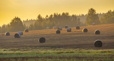Svihov yakınlarındaki Sumava zirvesi, Batı Bohemya, Çek Cumhuriyeti