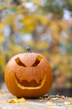 Cadılar bayramı balkabağı, sonbahar durgun hayat