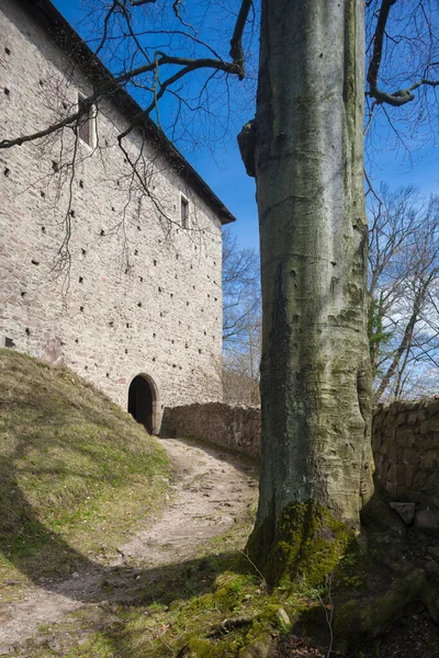 Litice Nad Orlici Ruins Bohemia Oriental República Checa — Foto de Stock