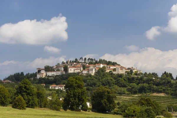 Vipava Dalen Gorice Regionen Slovenien — Stockfoto